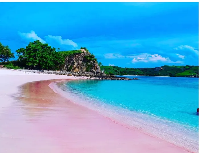 Pantai Pink